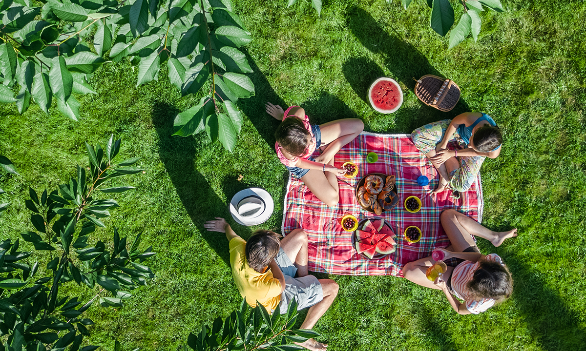 Piknik